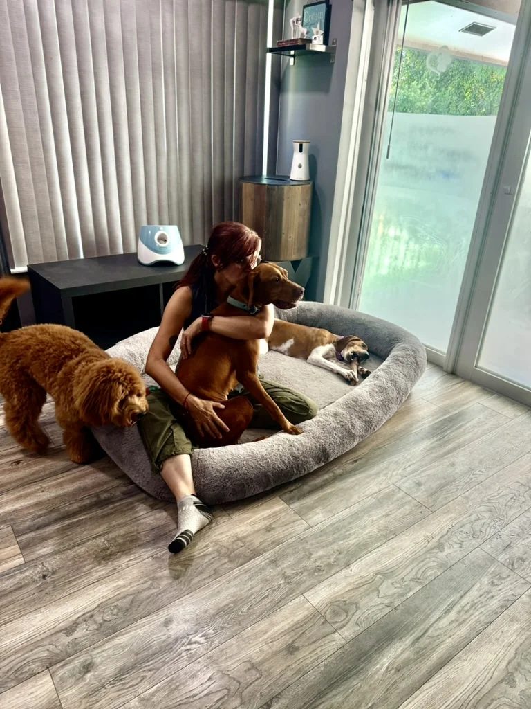 Mia hugging a dog on the oversized dog bed, with two more dogs nearby